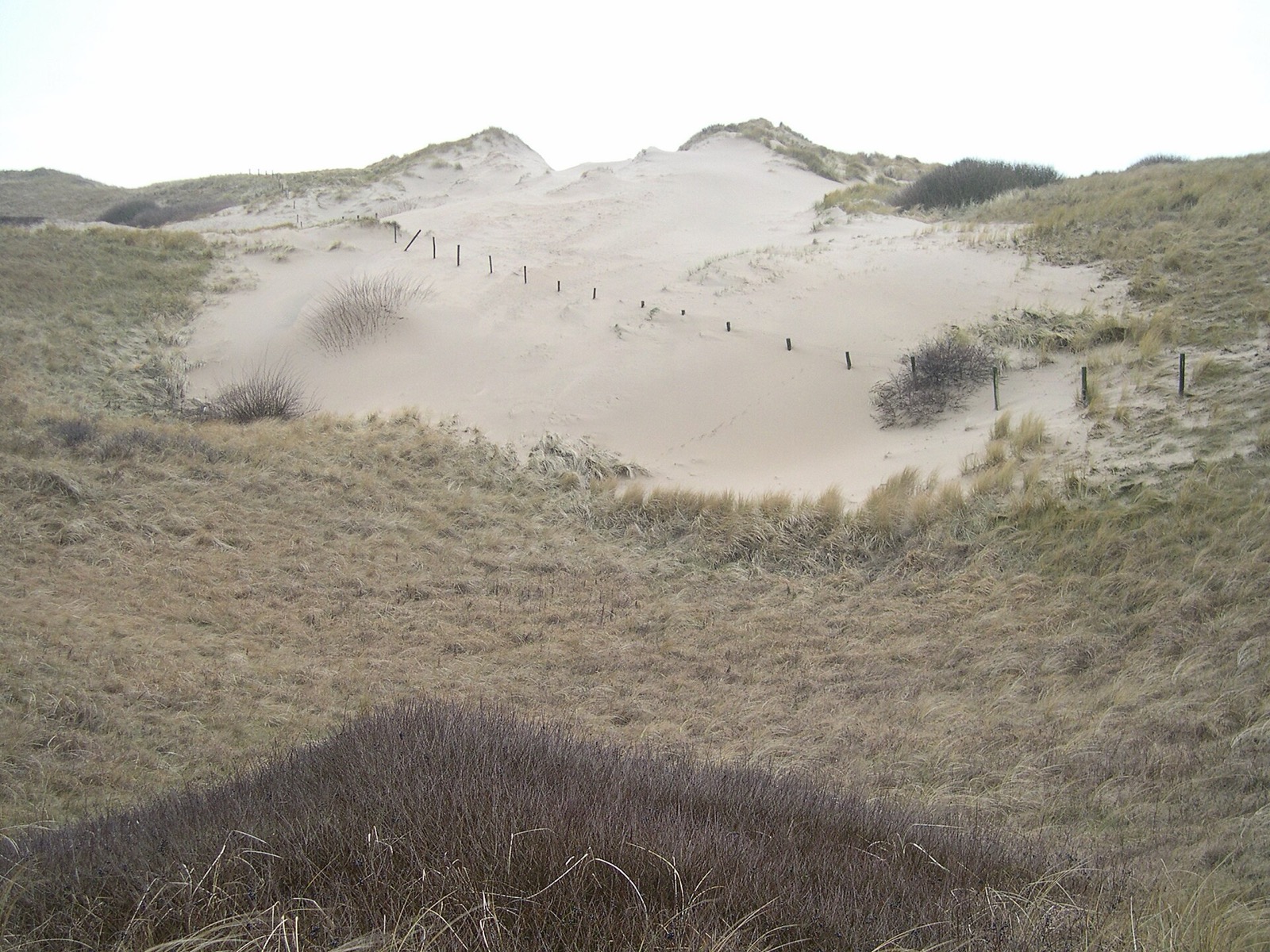 Noordhollands Duinreservaat, Bergen, regio 072